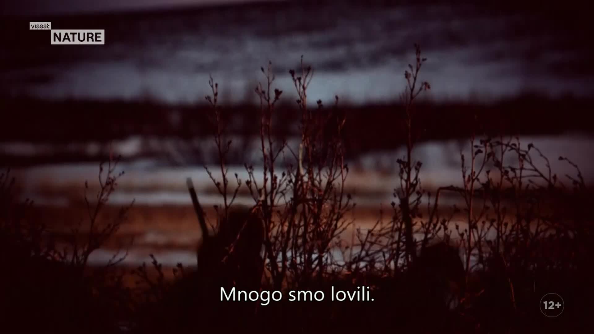 ViasatNature