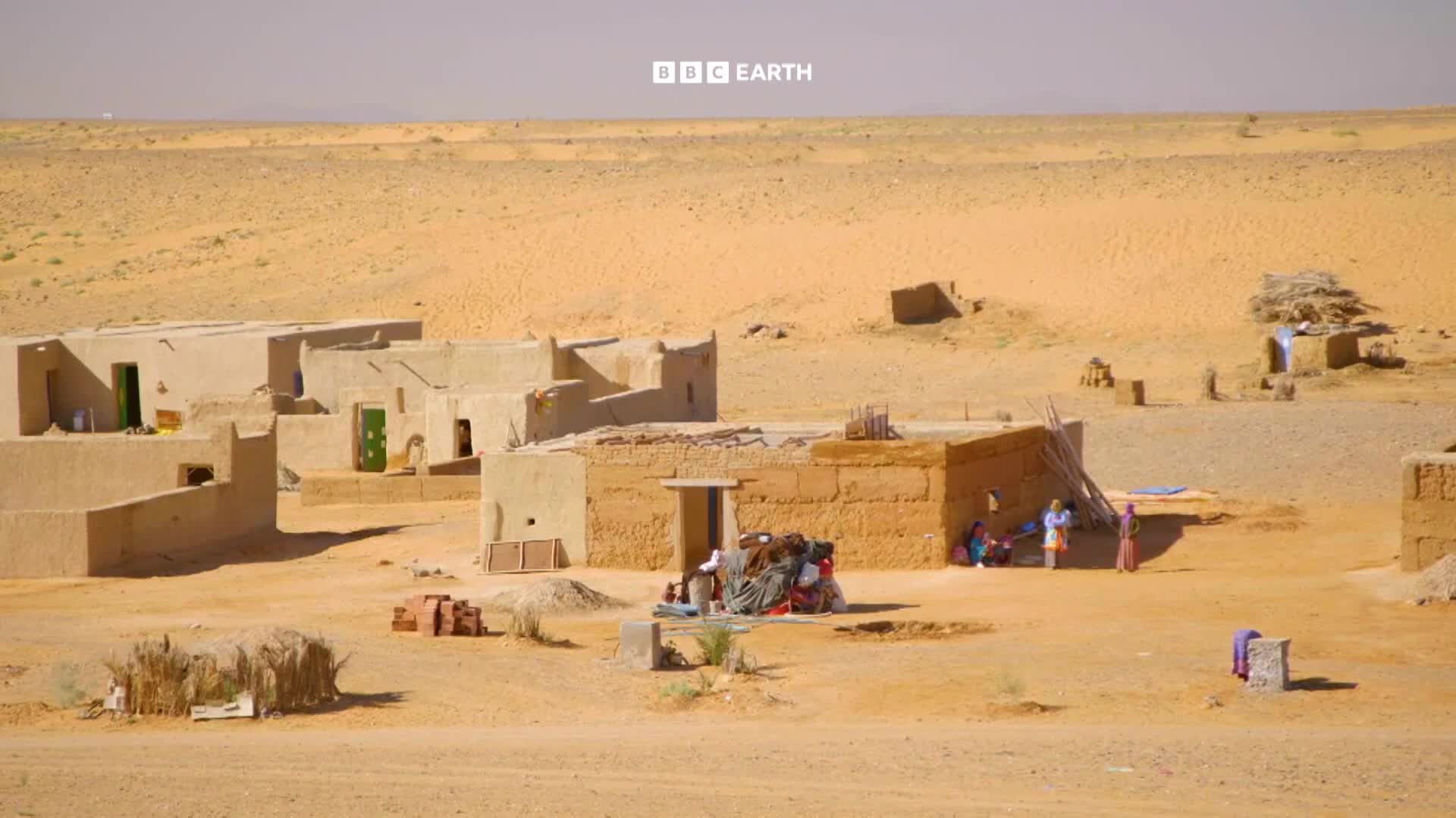 BBCEarth