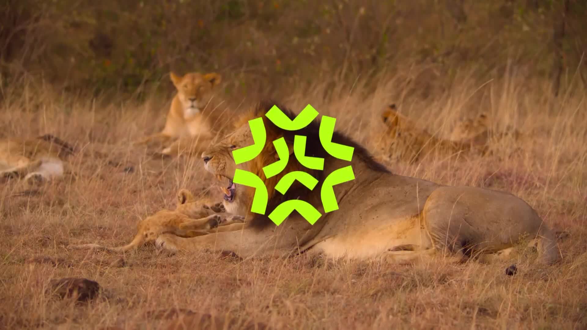 ViasatNature