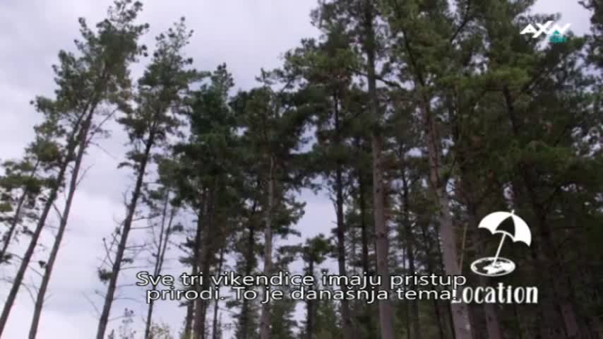 AXNSpin