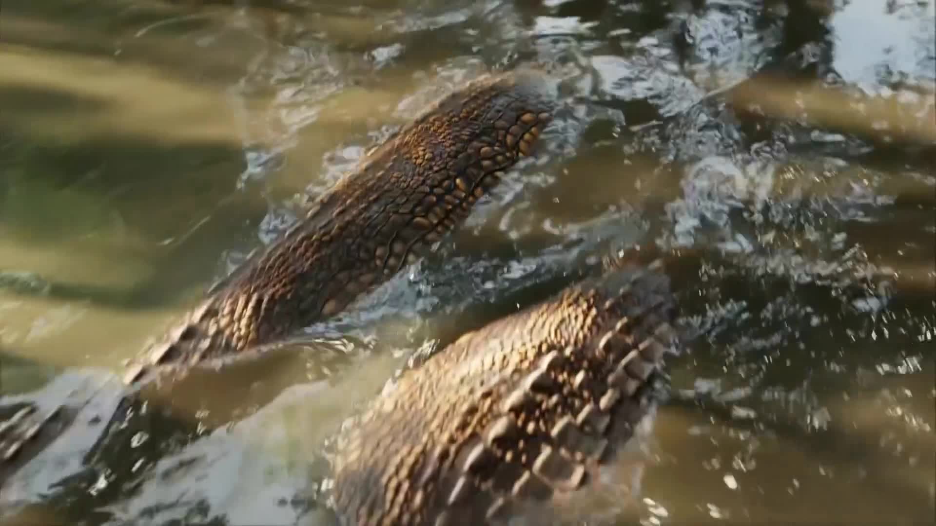 ViasatNature