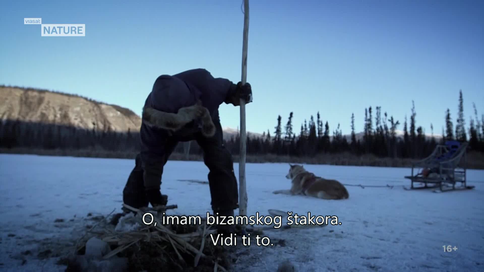 ViasatNature
