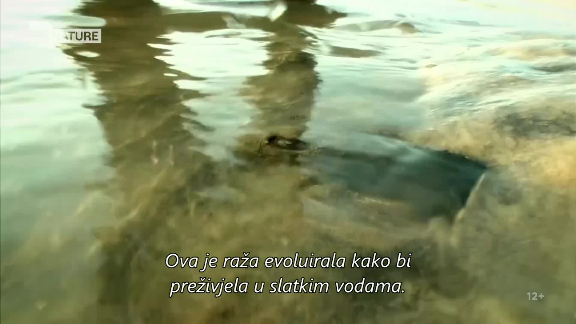 ViasatNature