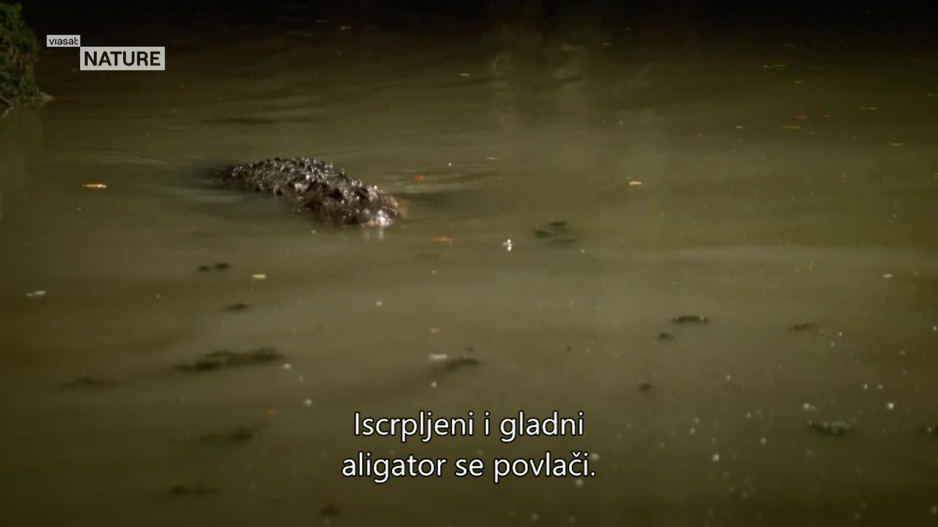 ViasatNature
