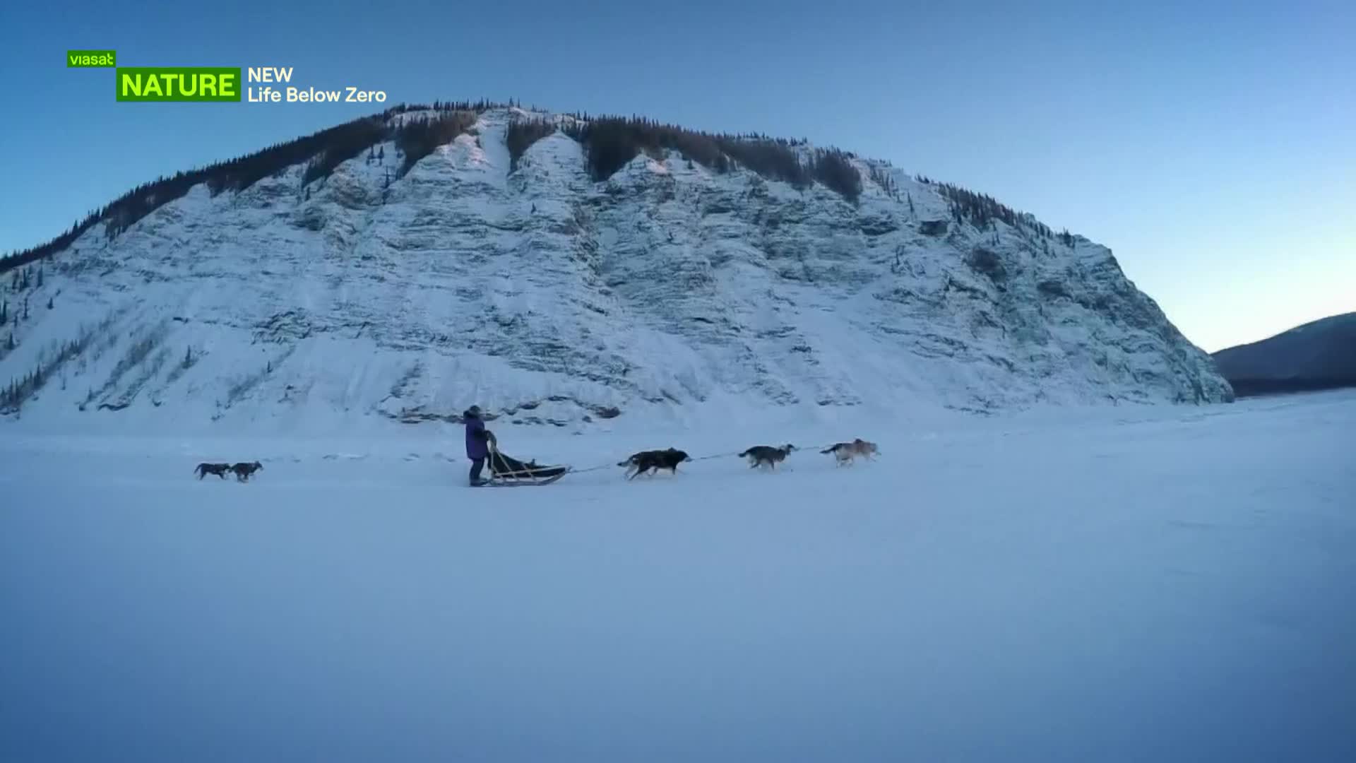 ViasatNature