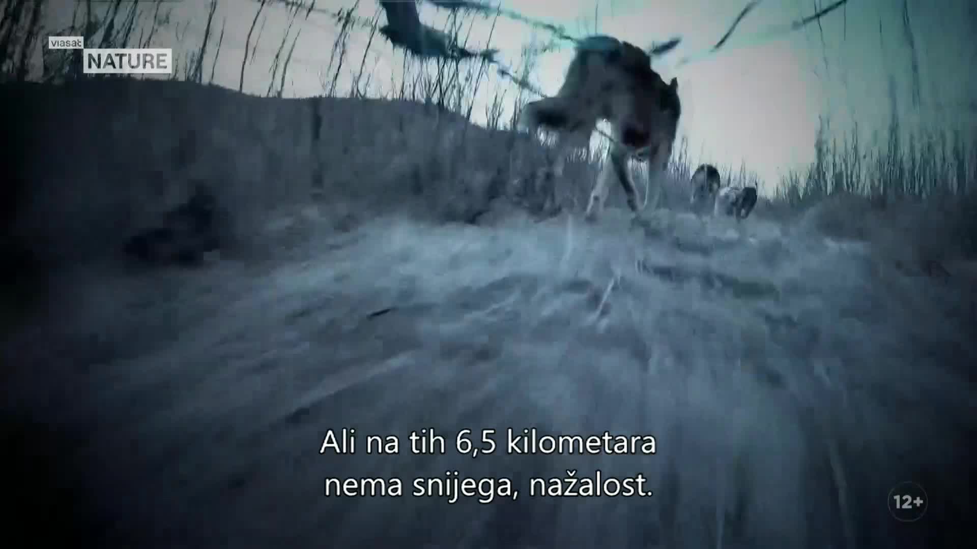 ViasatNature