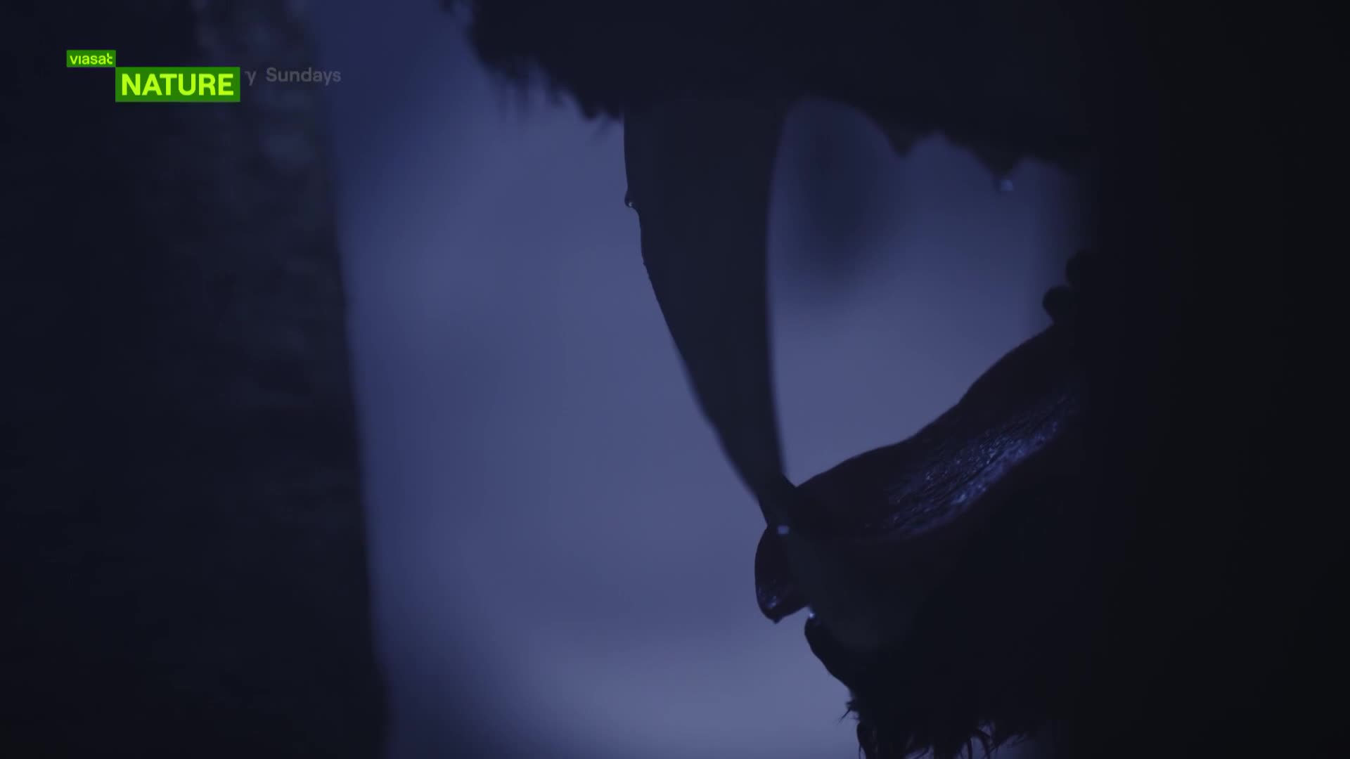 ViasatNature