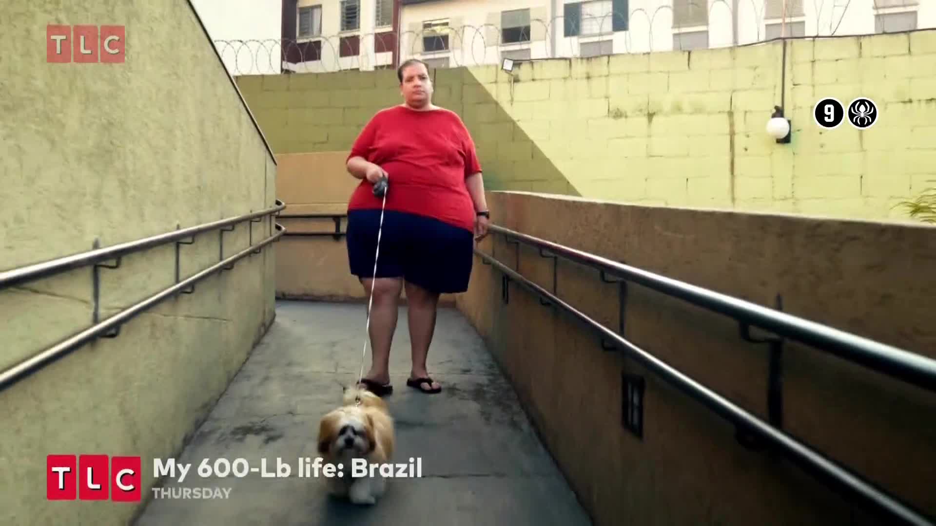 TLC