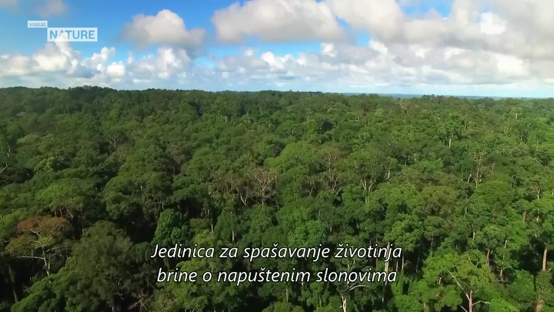 ViasatNature