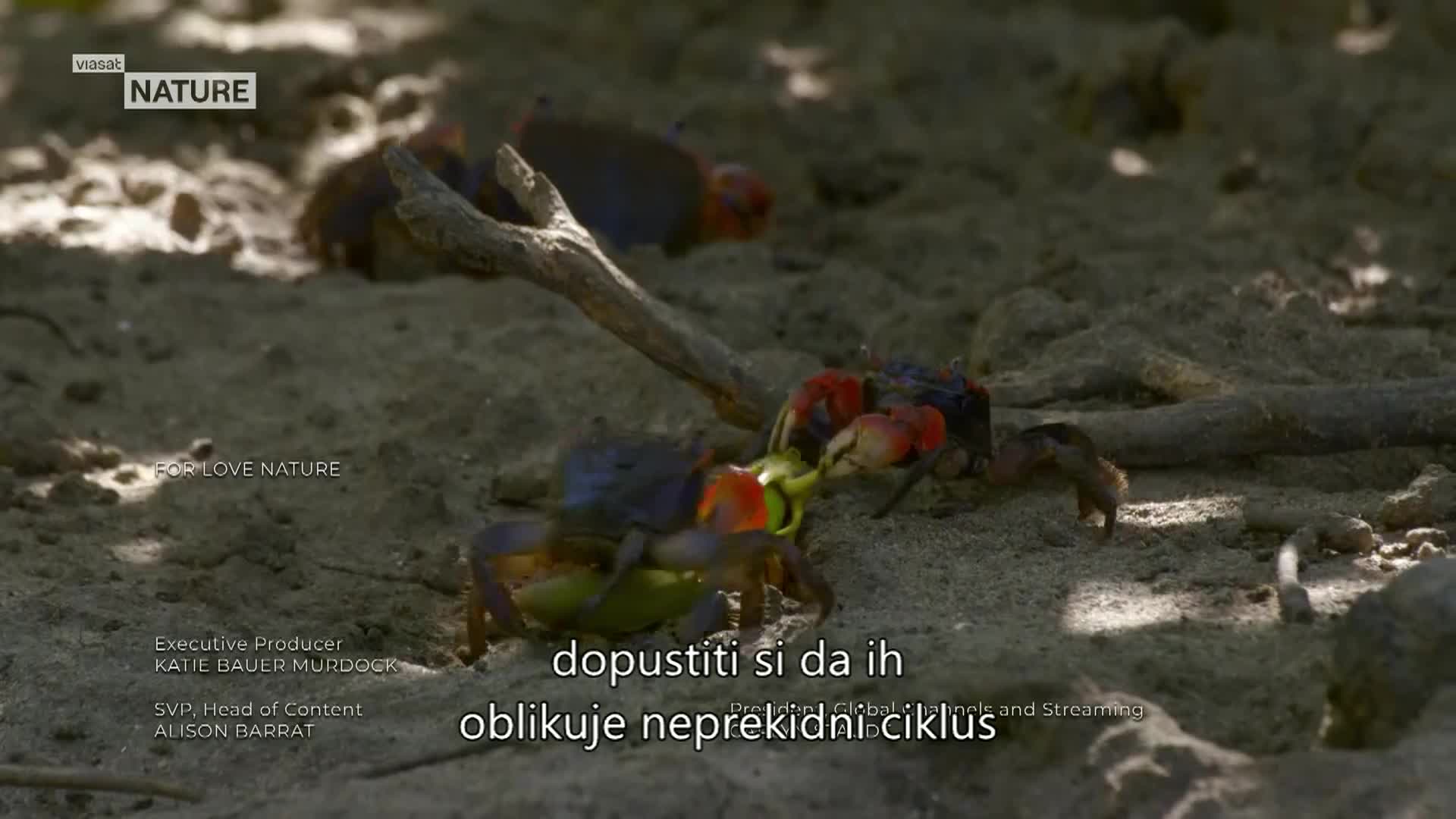 ViasatNature