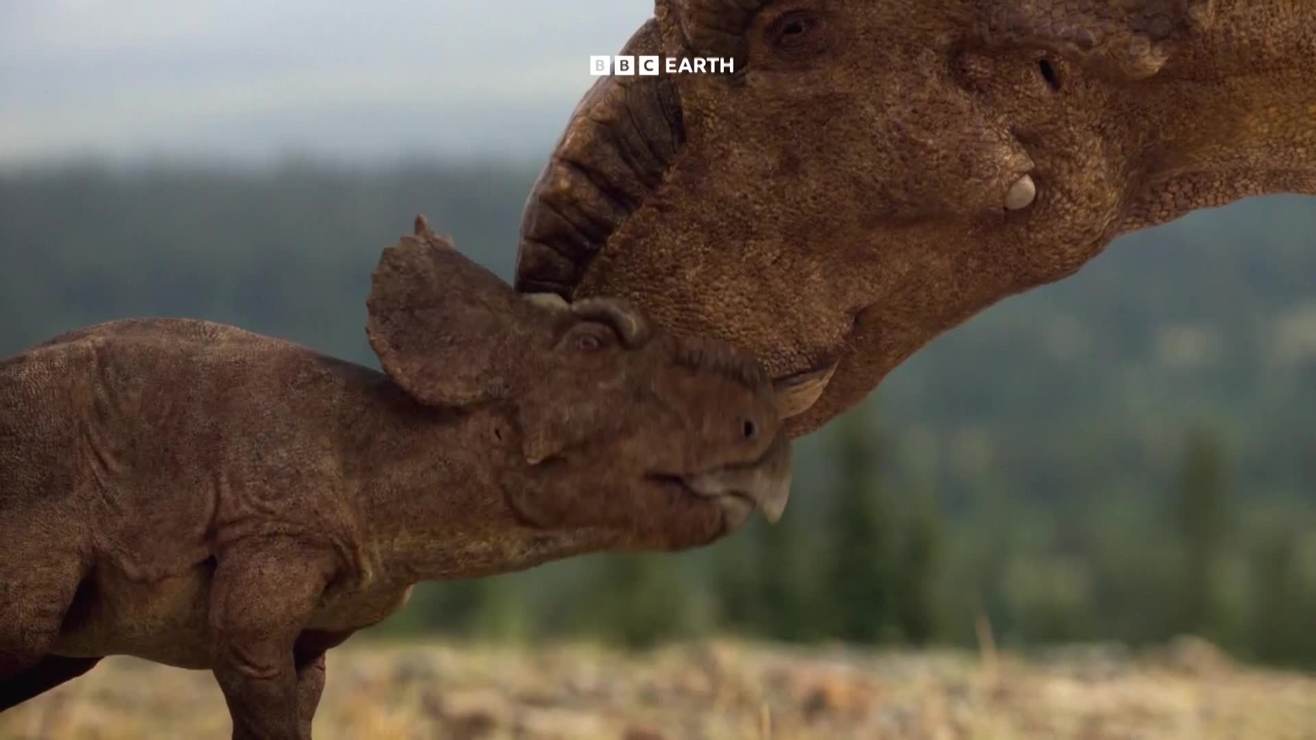 BBCEarth