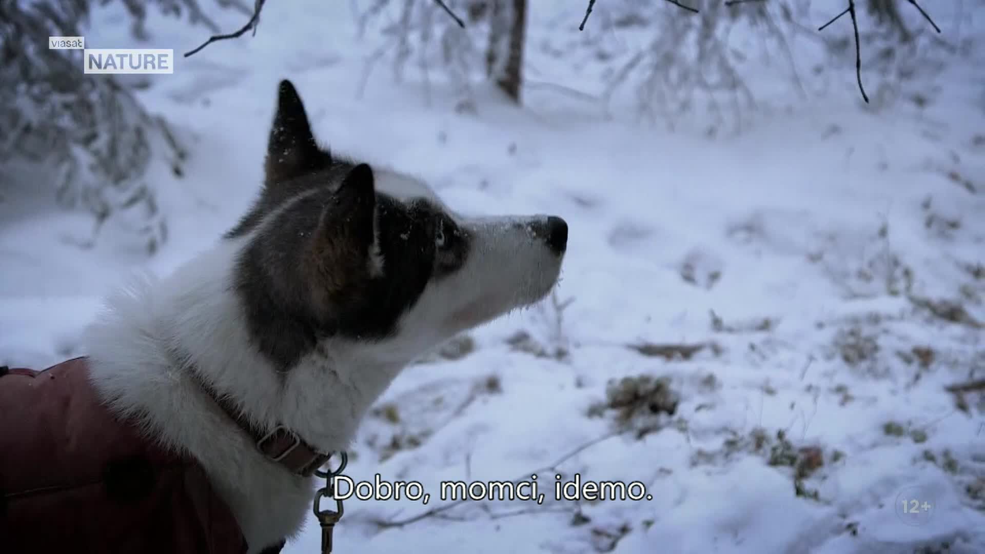 ViasatNature
