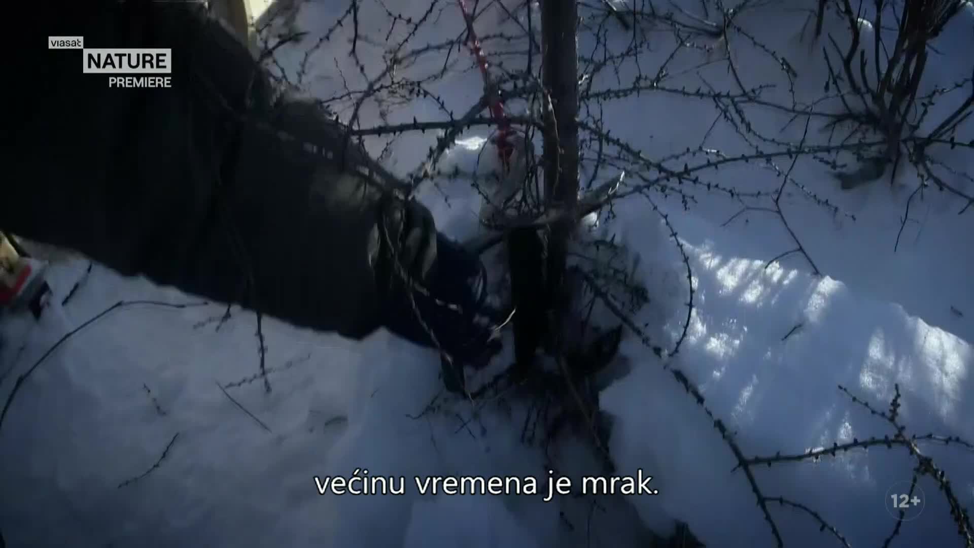 ViasatNature