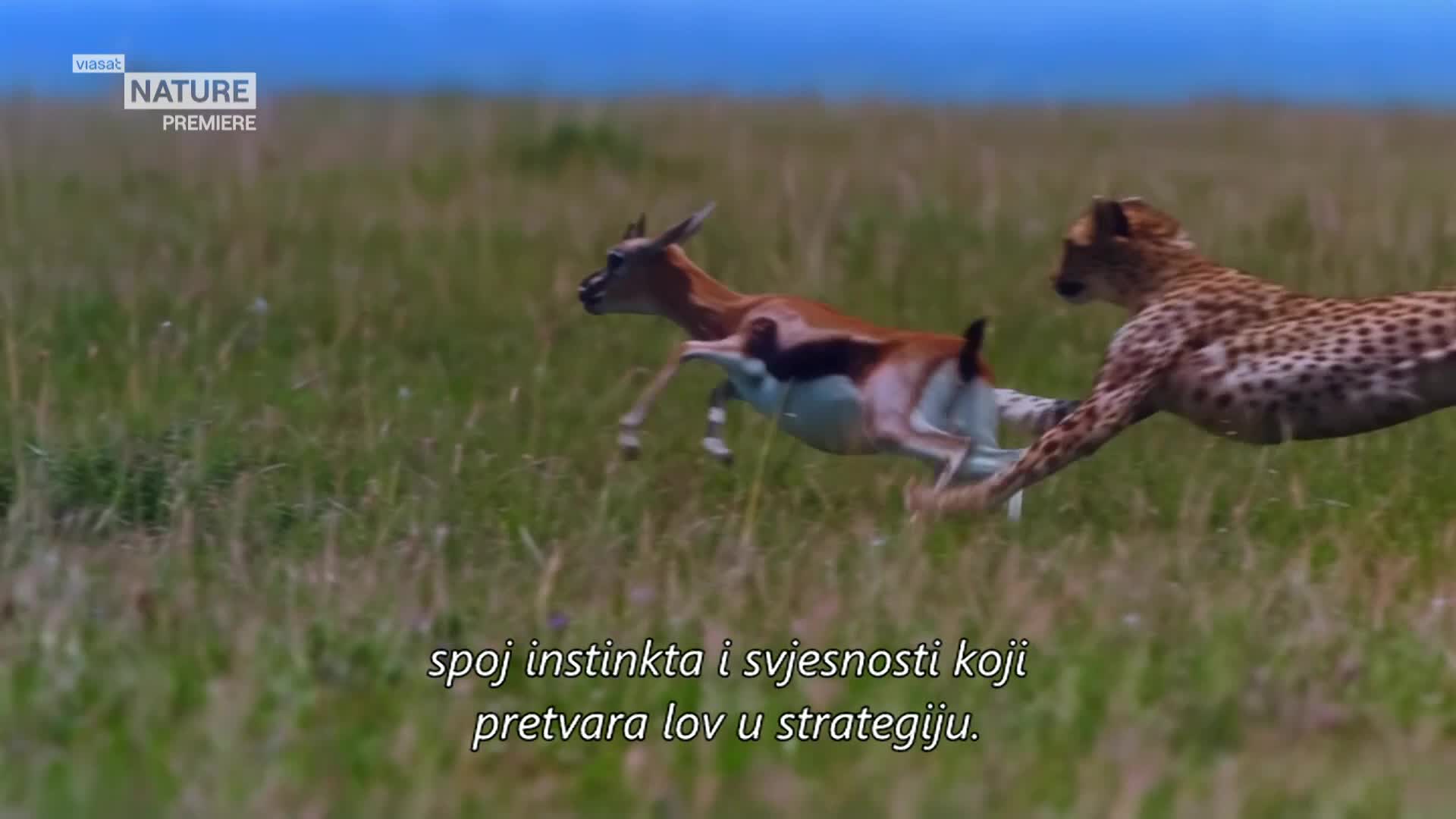 ViasatNature