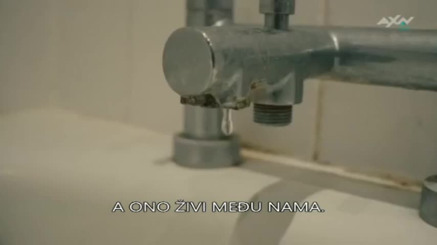 AXNSpin