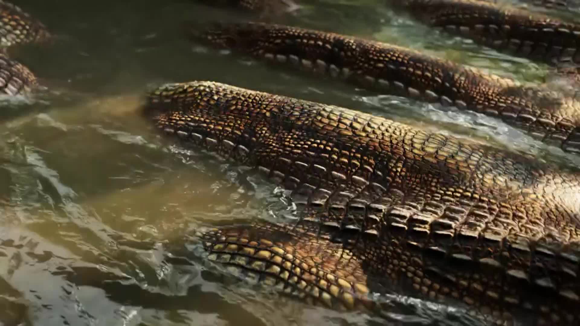 ViasatNature