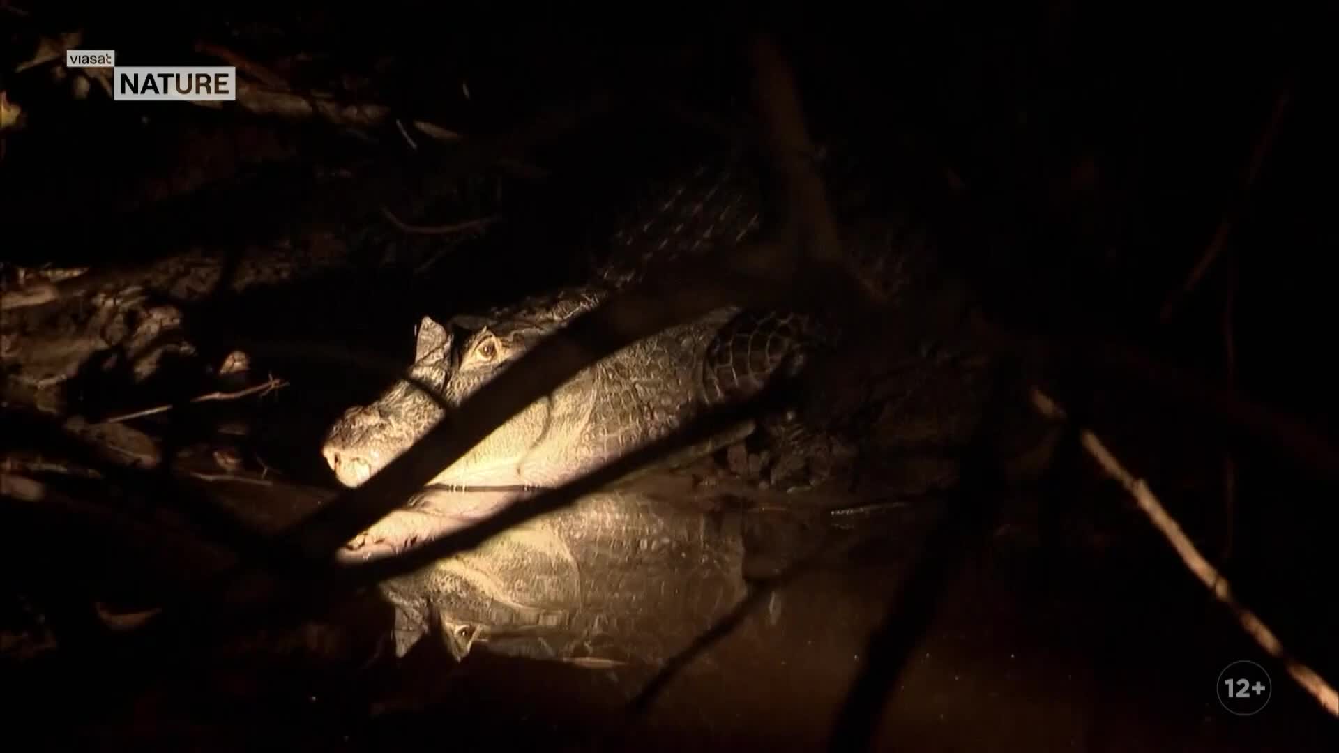 ViasatNature