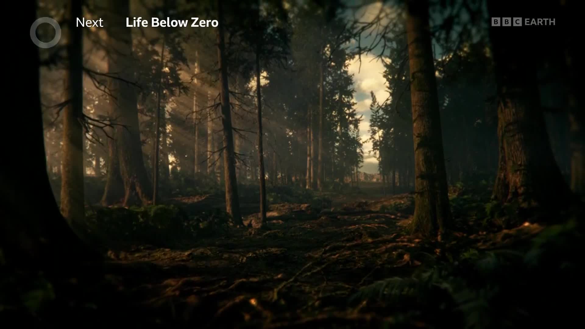 BBCEarth