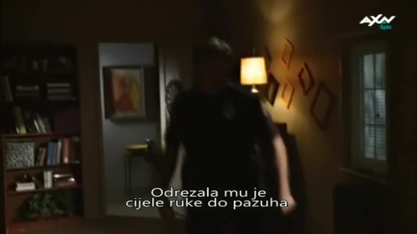 AXNSpin