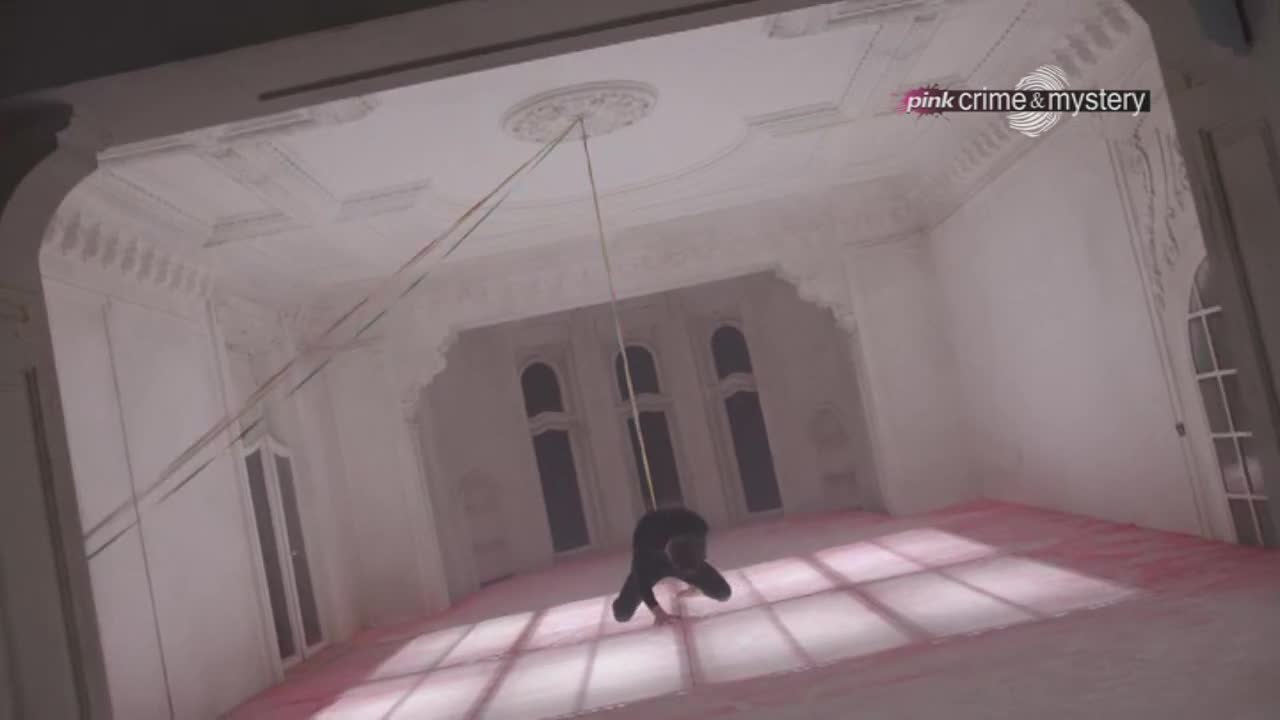 PinkCrimeMystery