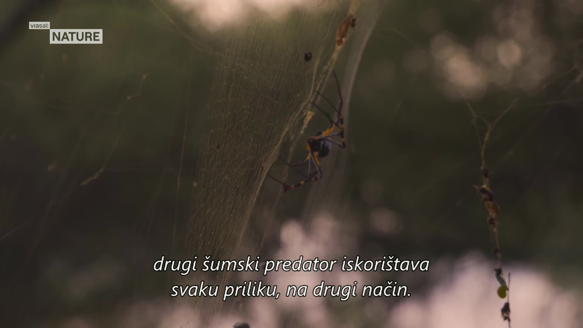 ViasatNature