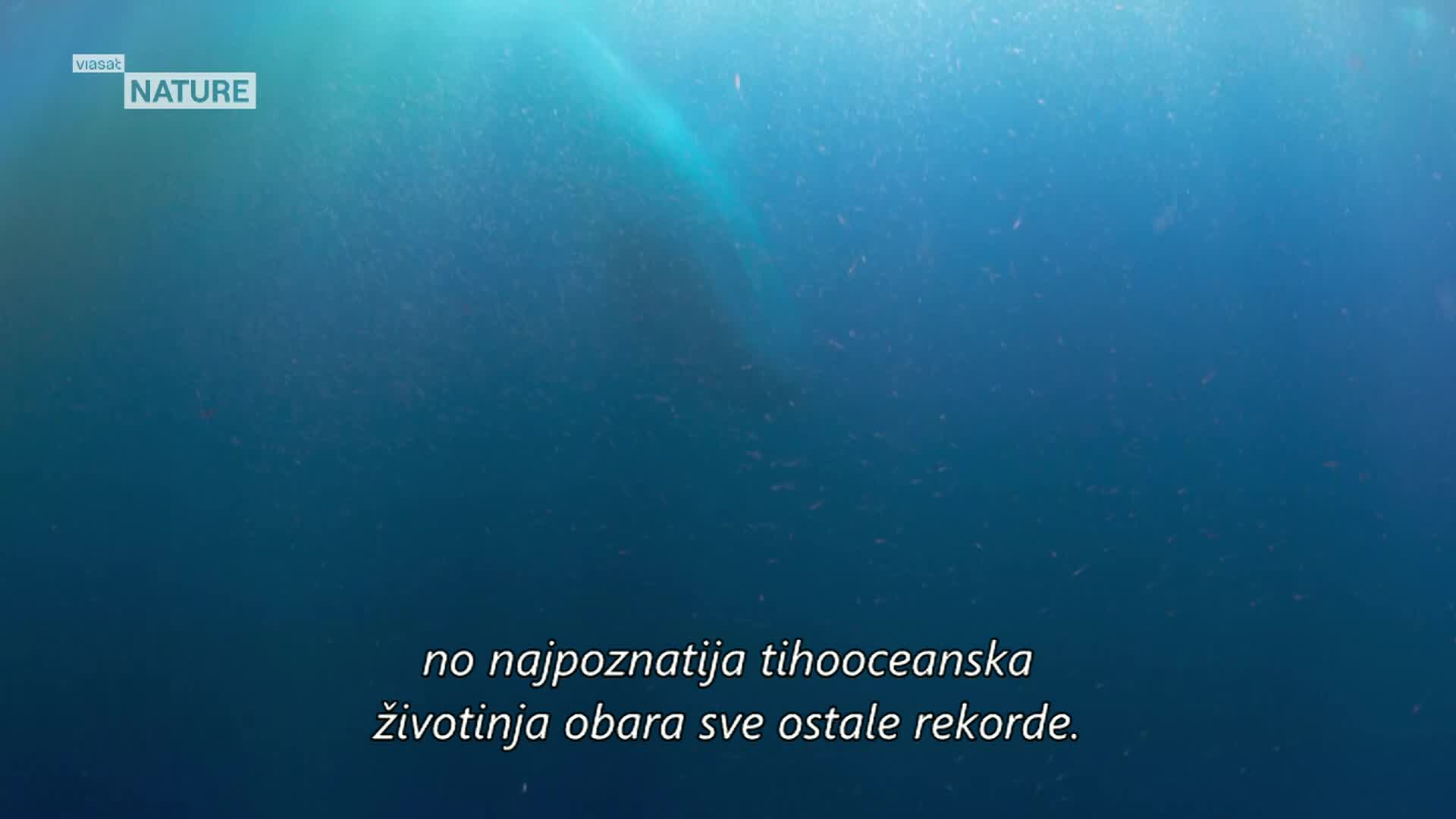 ViasatNature