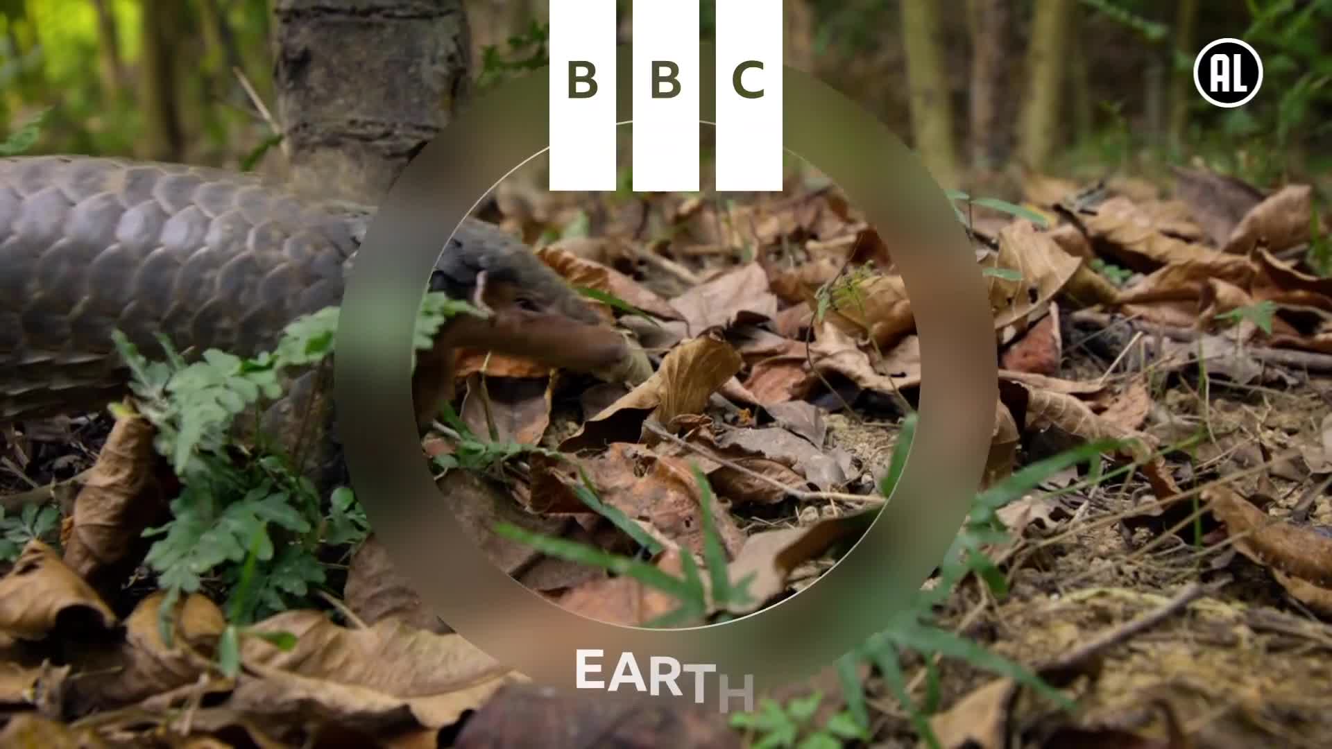 BBCEarth