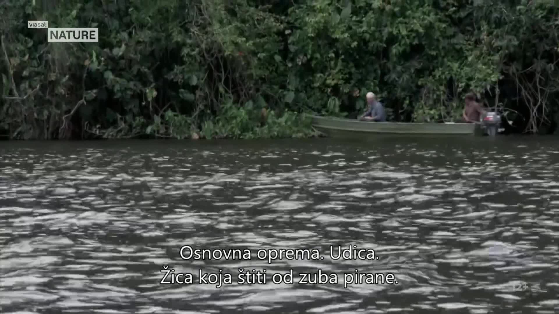 ViasatNature