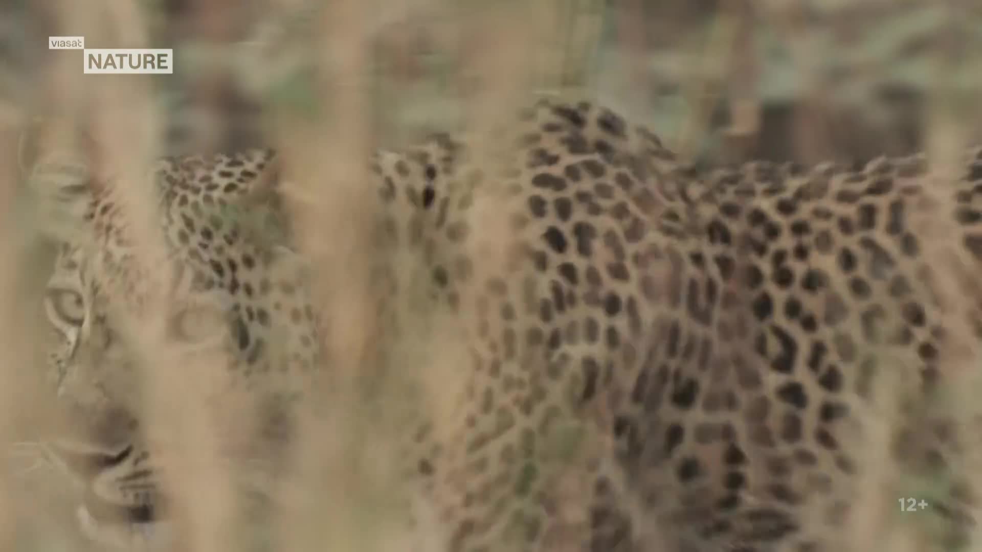 ViasatNature