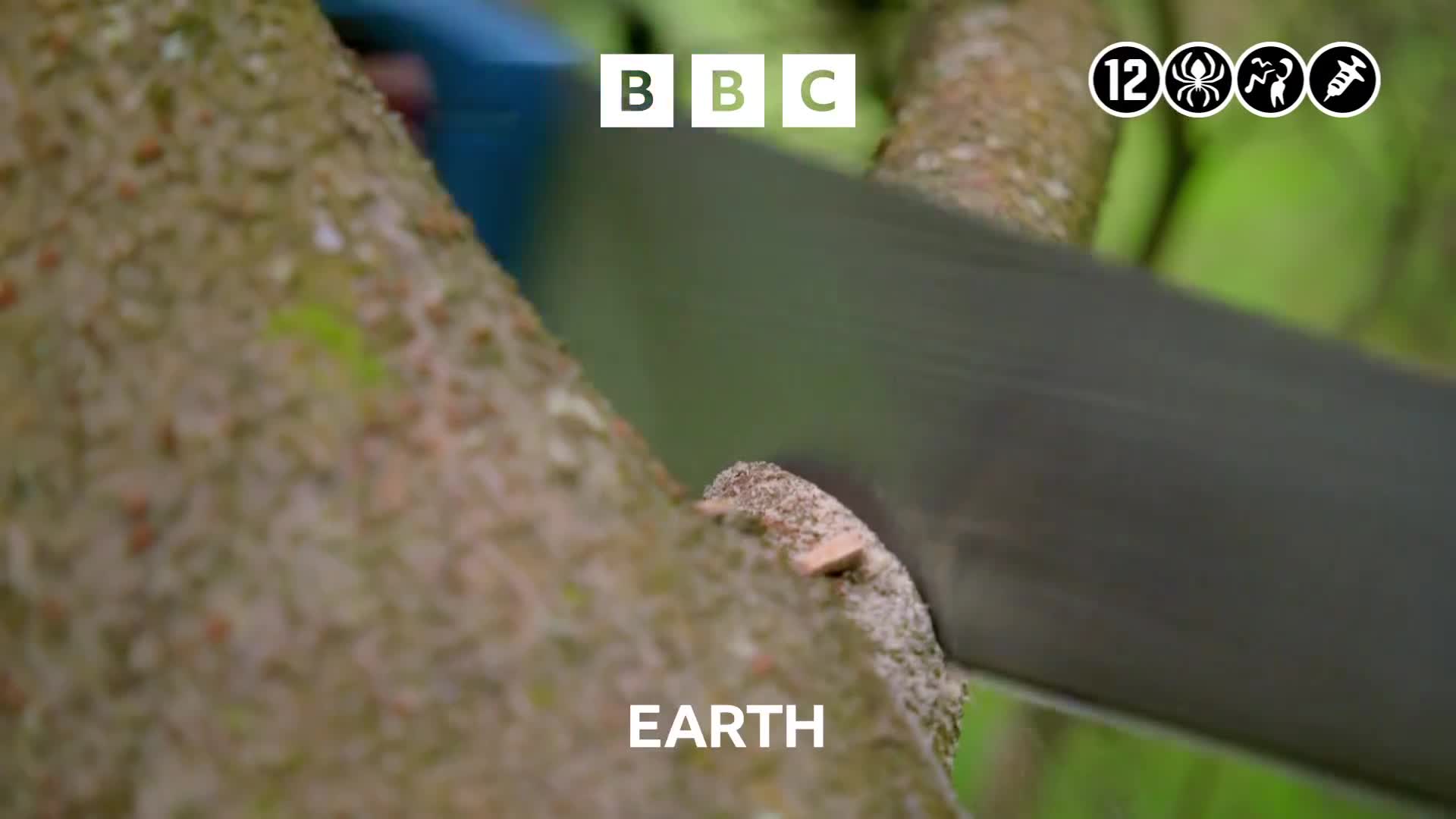 BBCEarth