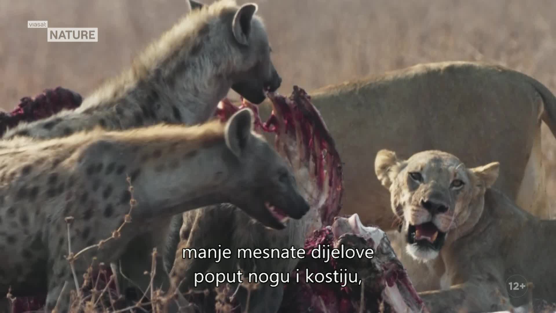 ViasatNature