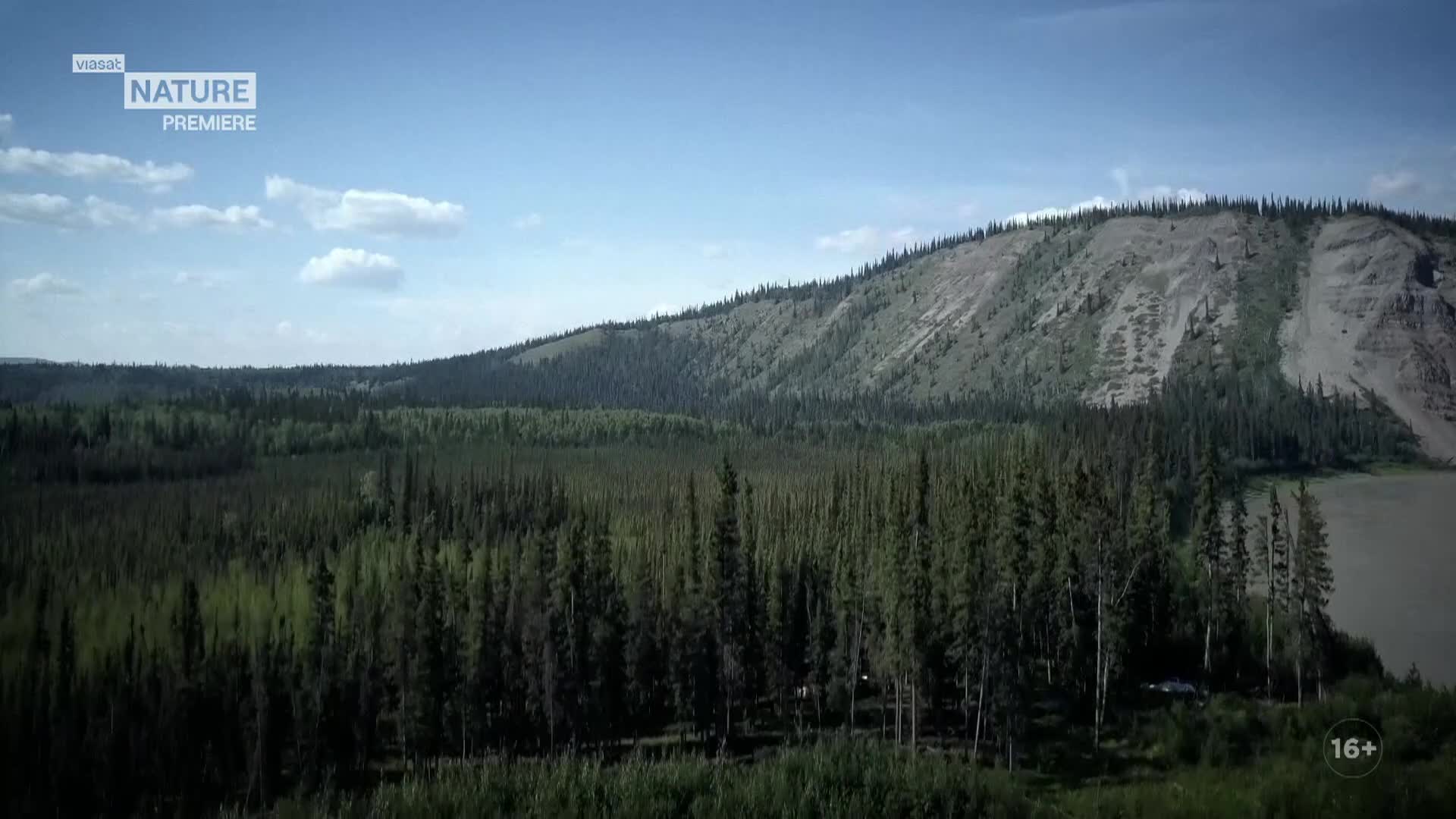 ViasatNature