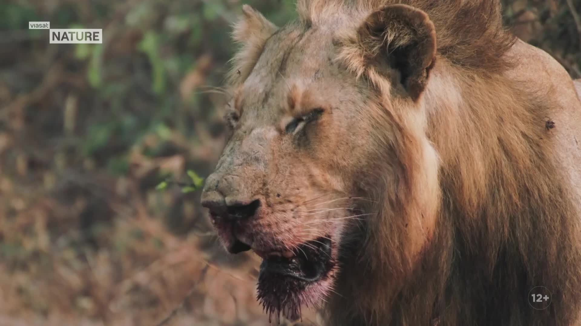 ViasatNature