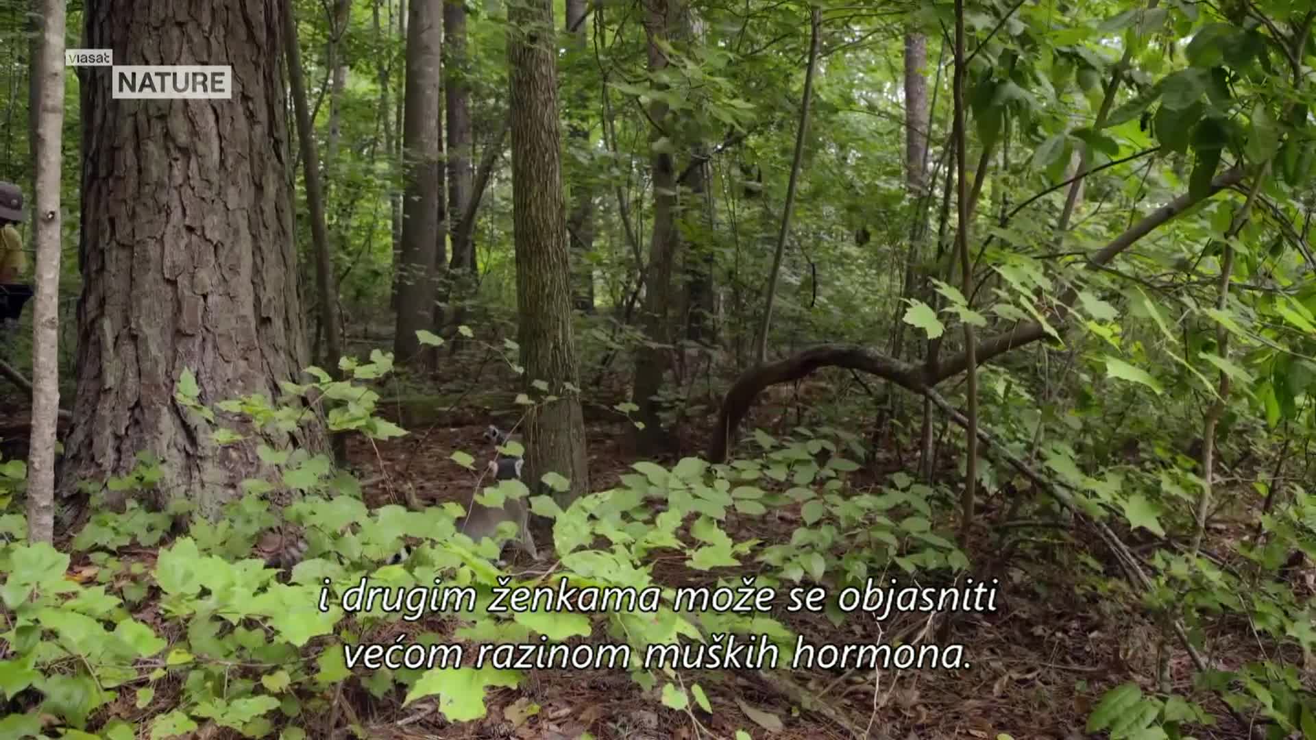 ViasatNature