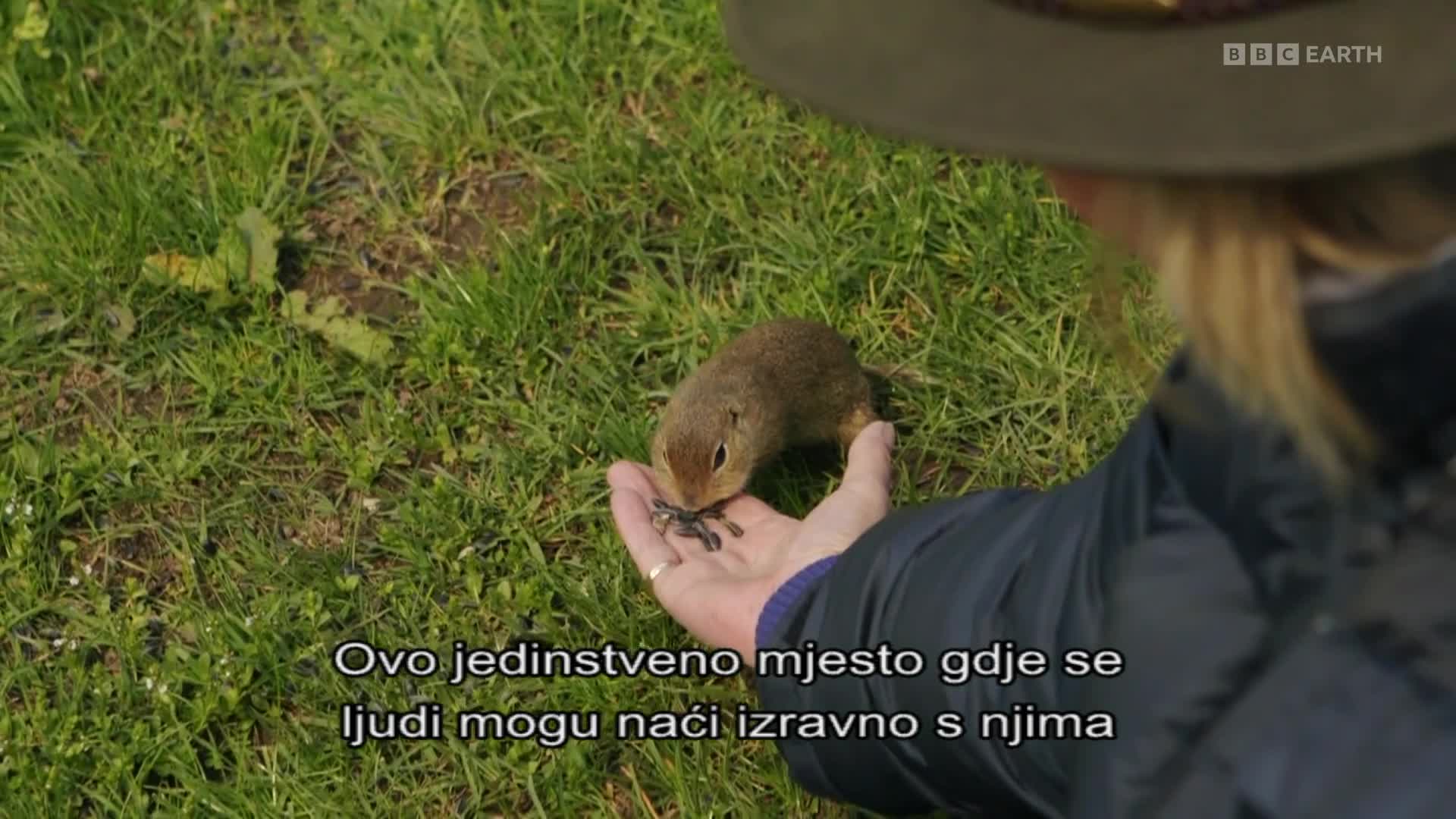 BBCEarth