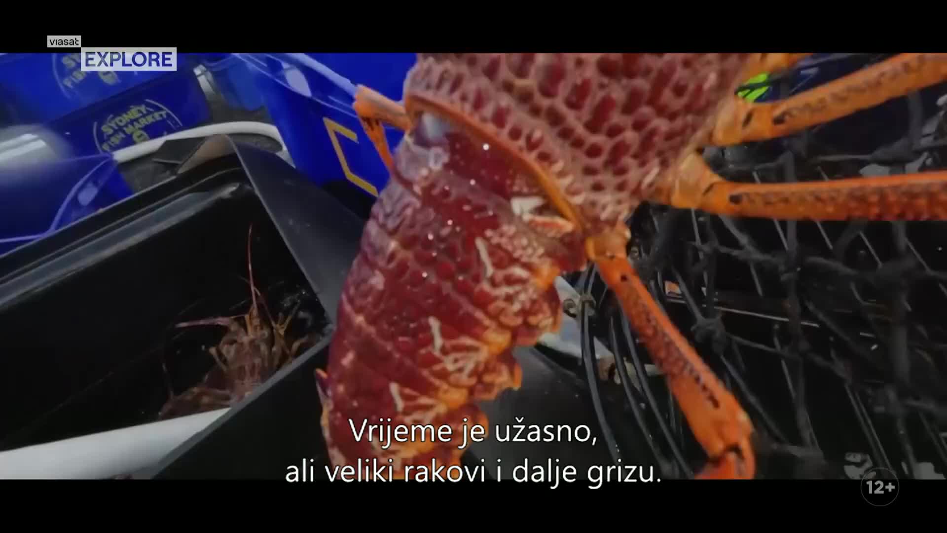 ViasatExplore