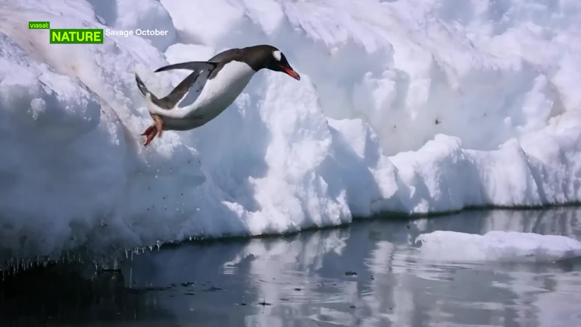 ViasatNature
