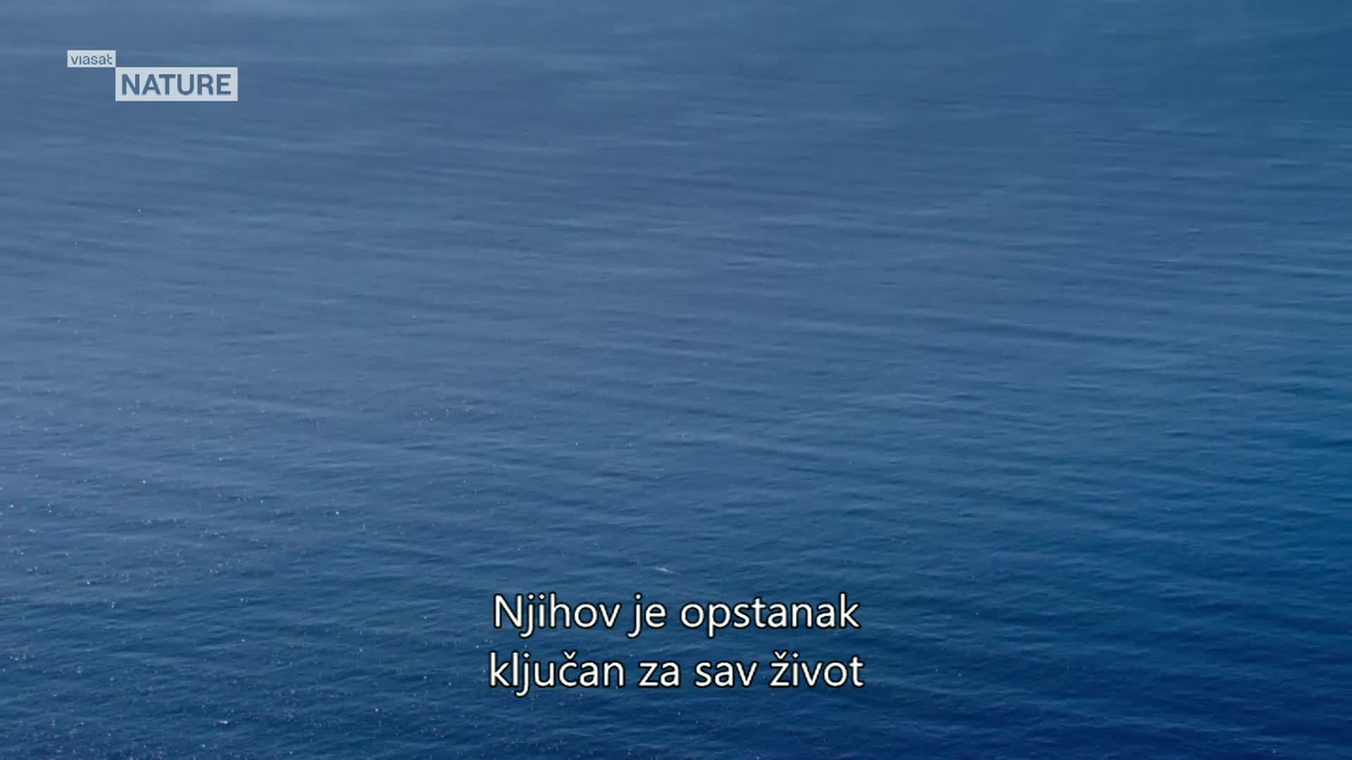 ViasatNature