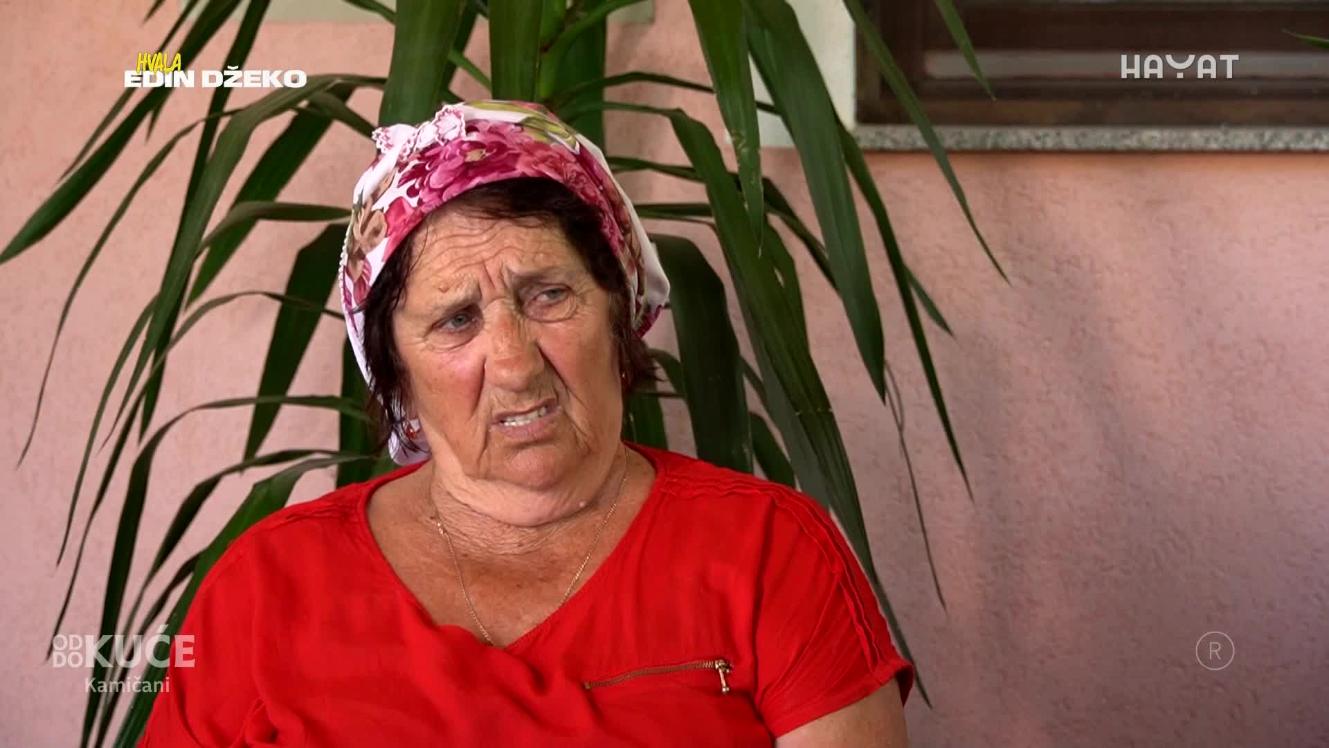 hayat