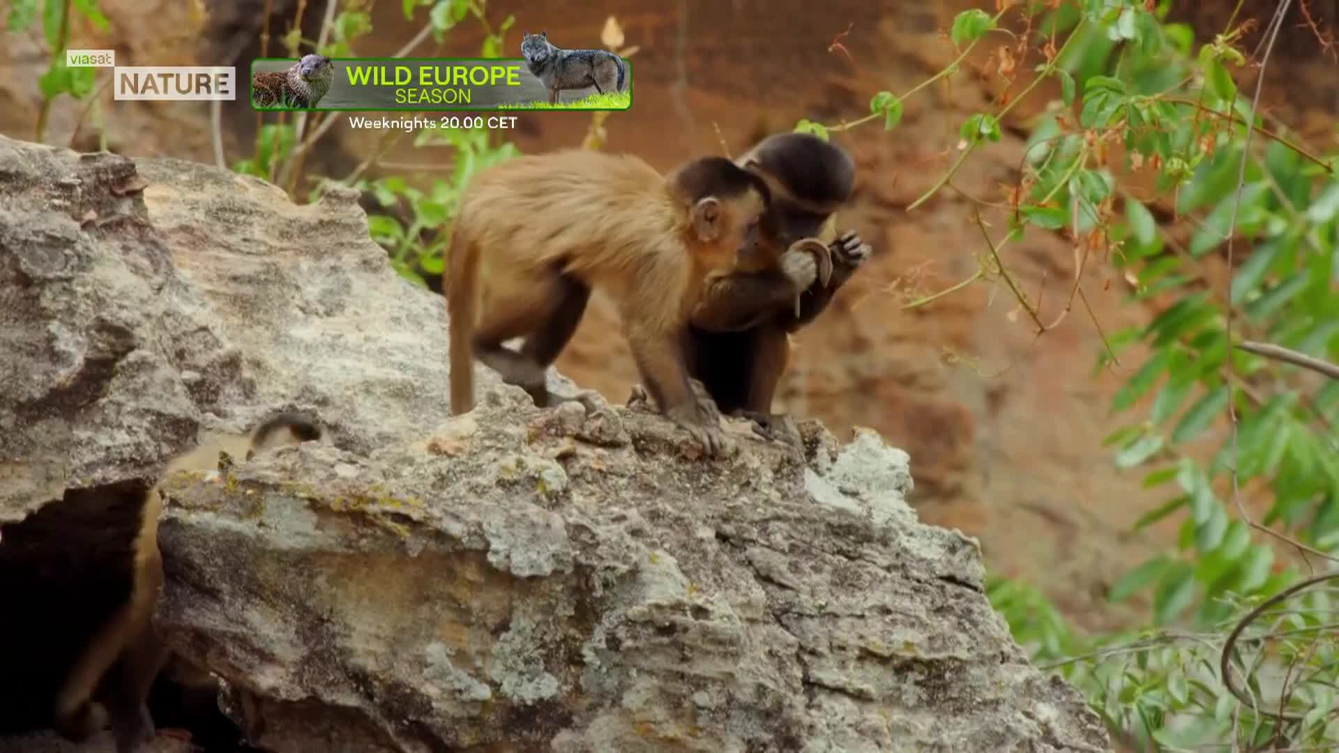 ViasatNature