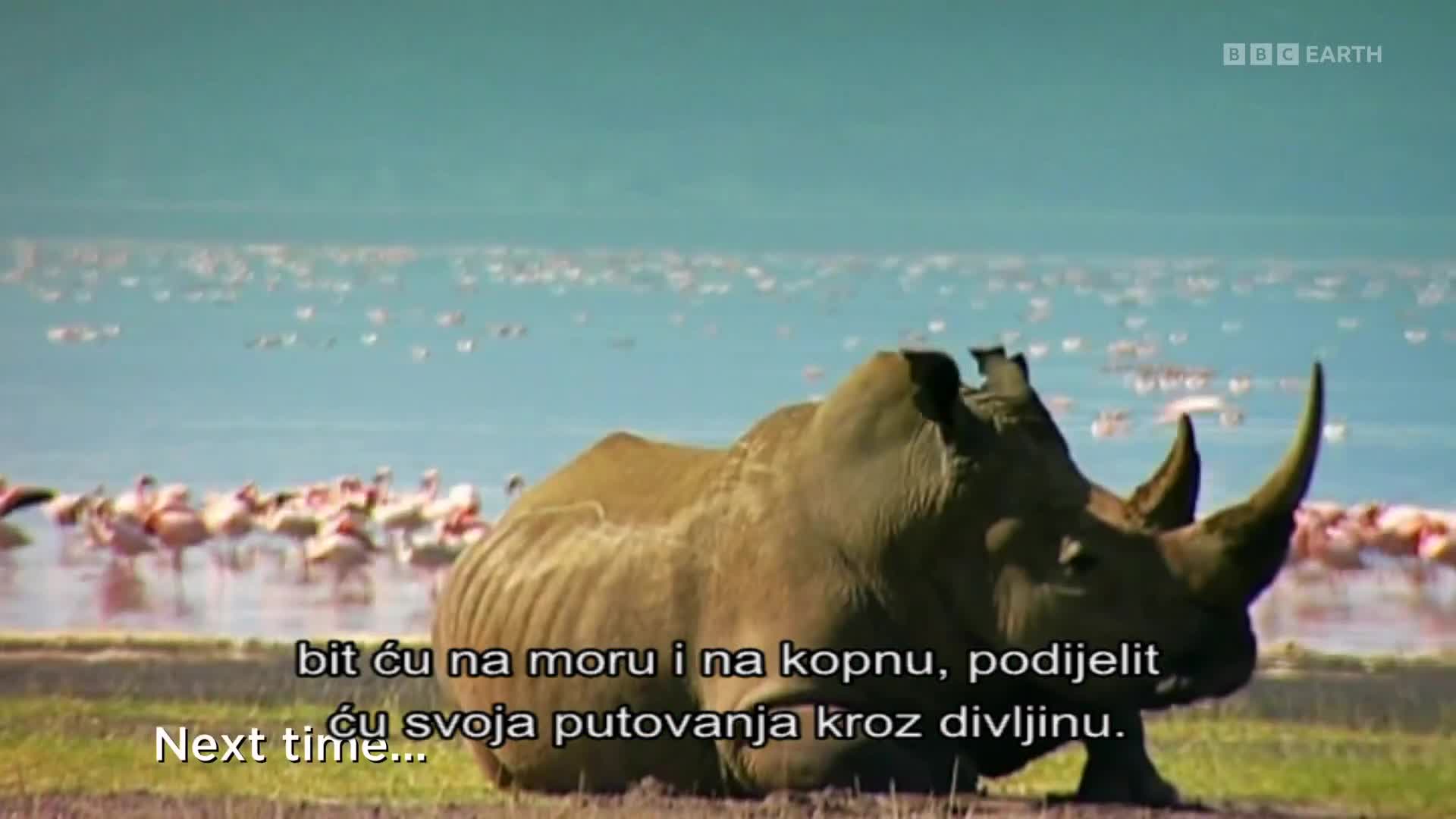 BBCEarth