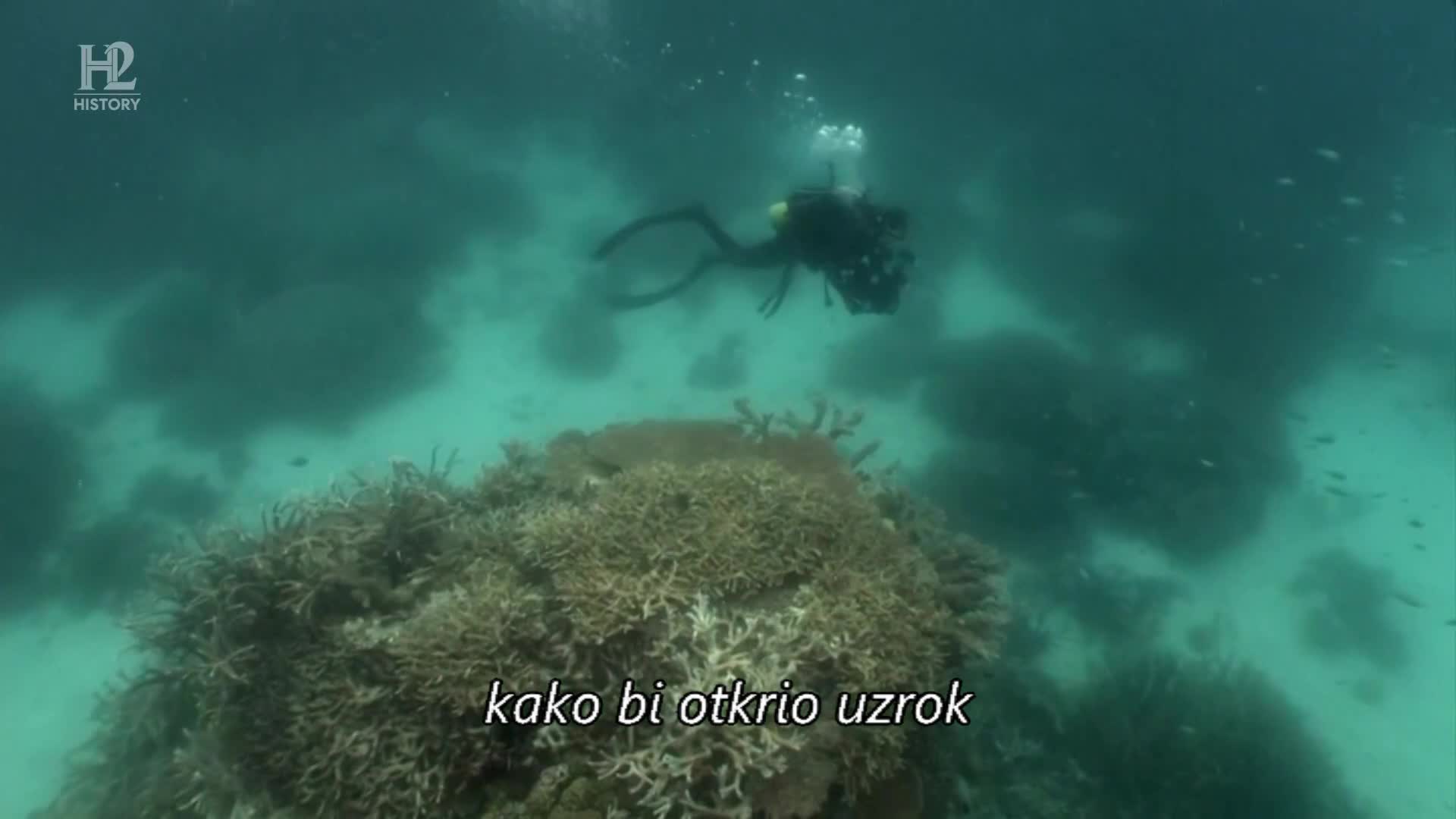 History2