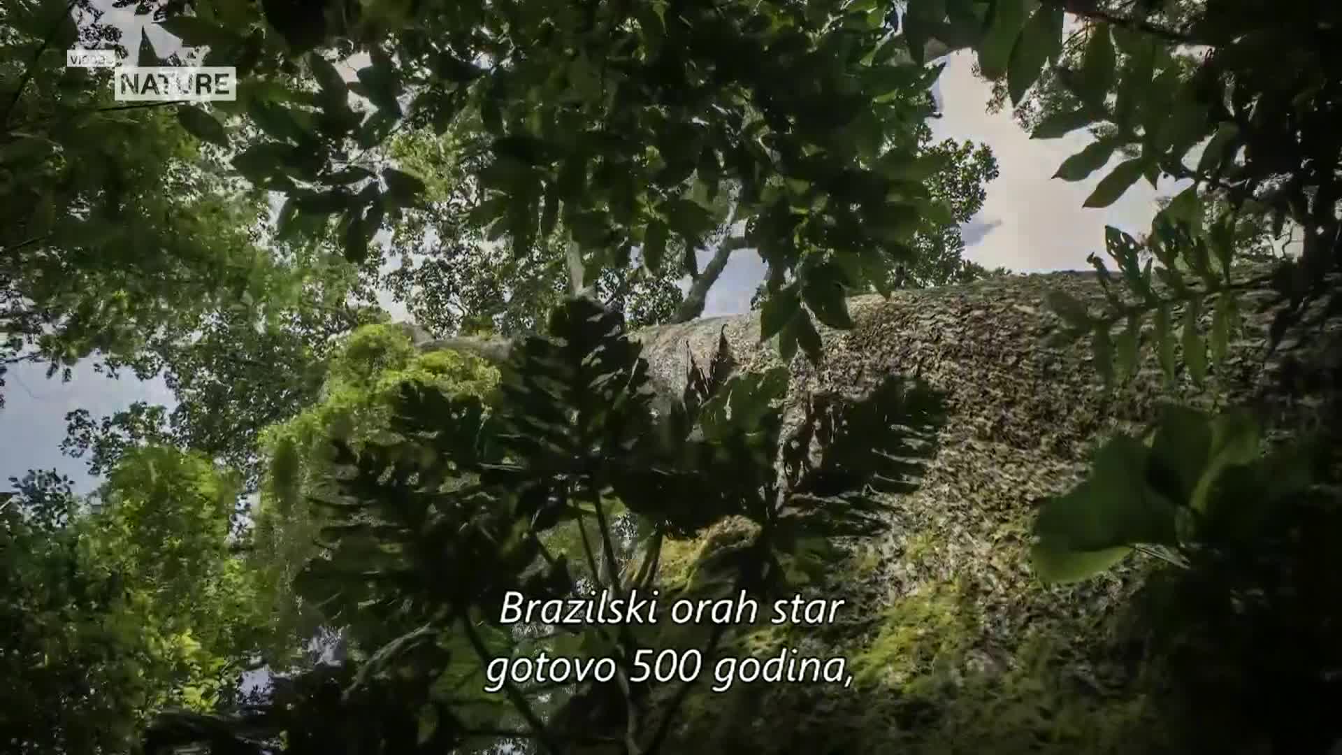 ViasatNature