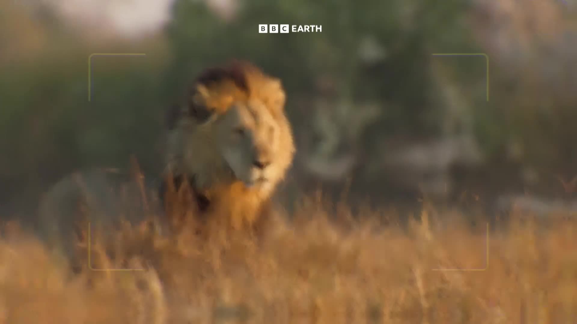 BBCEarth
