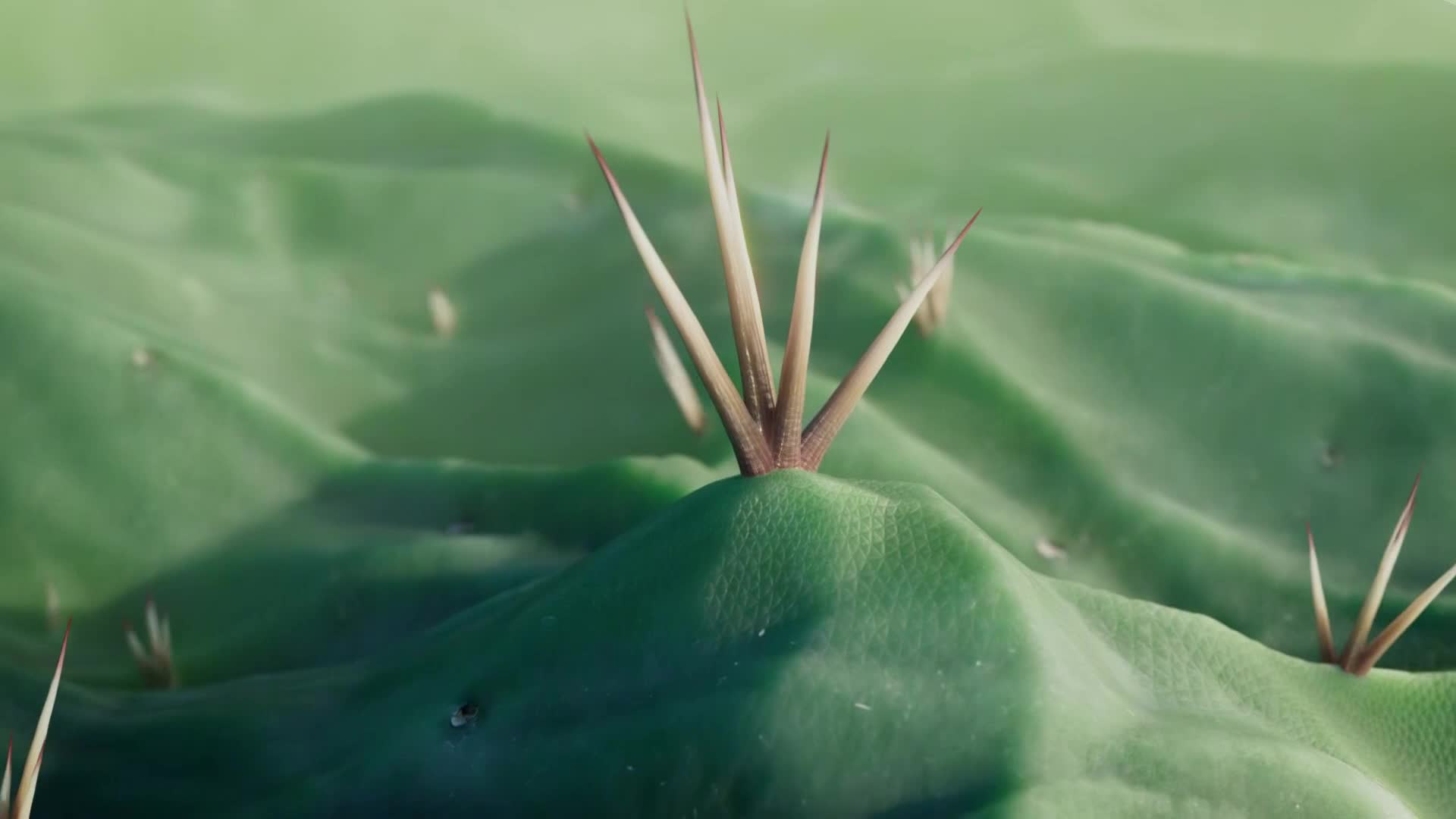 ViasatNature