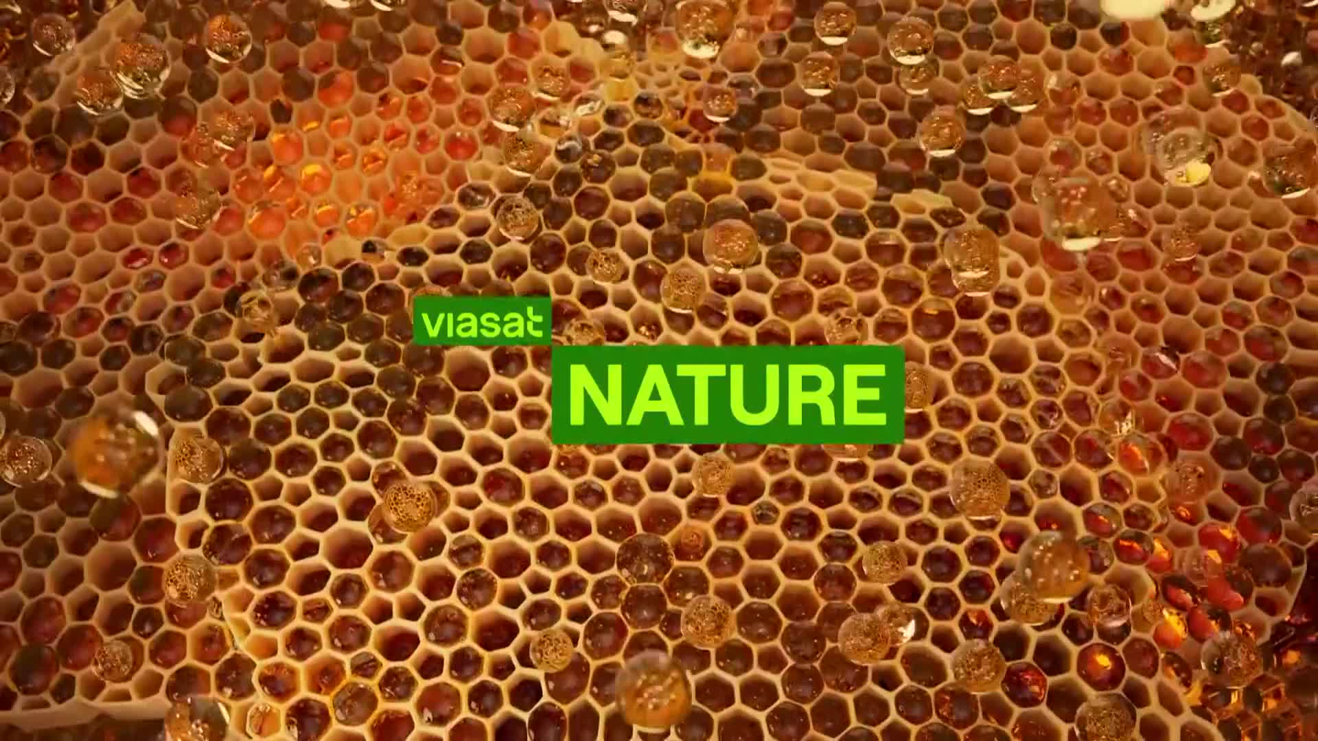 ViasatNature