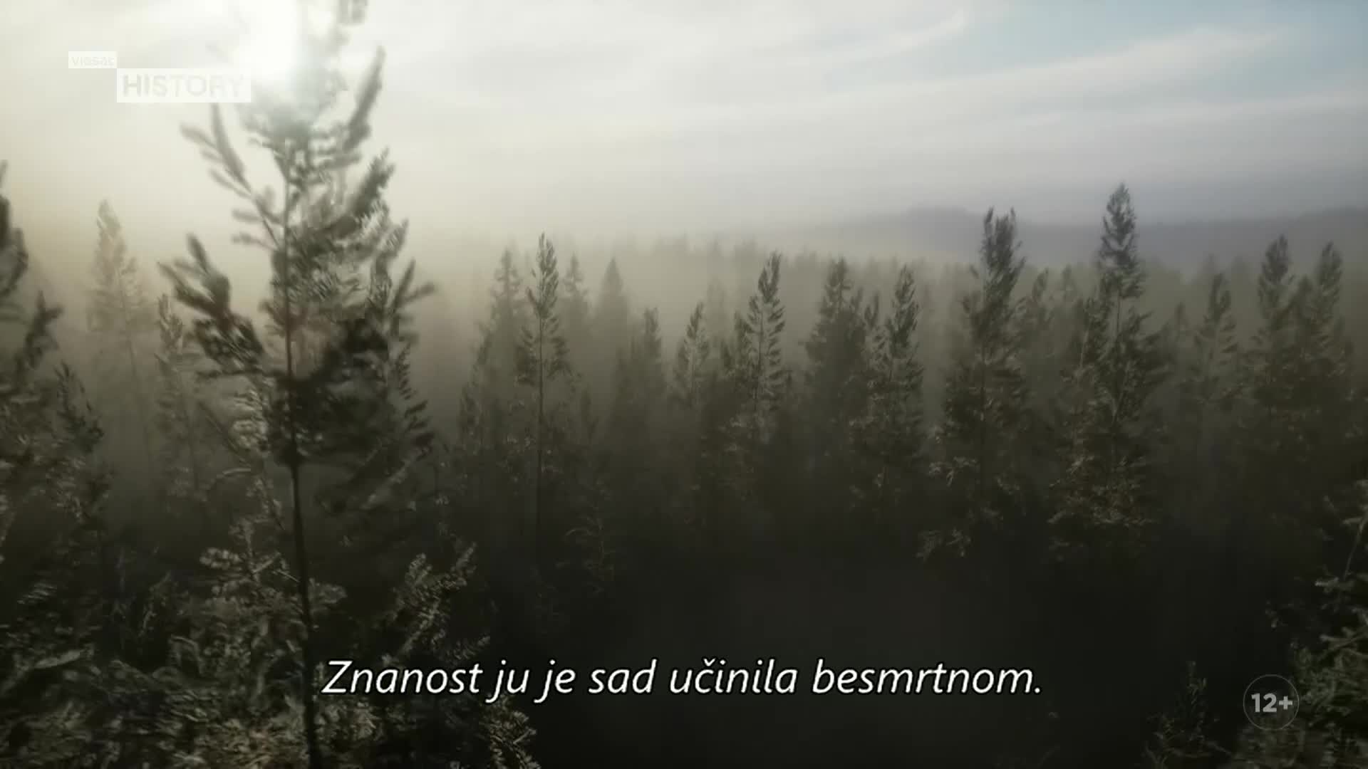 ViasatHistory