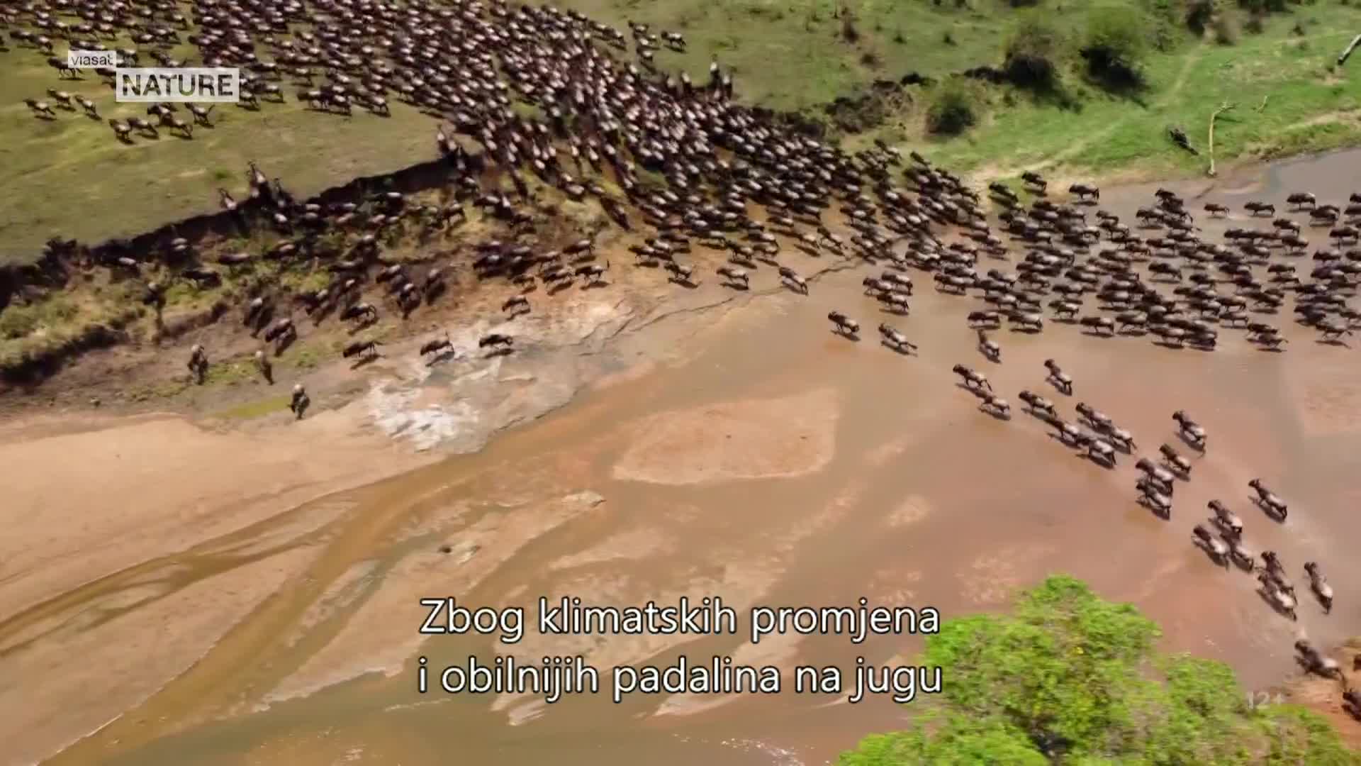ViasatNature