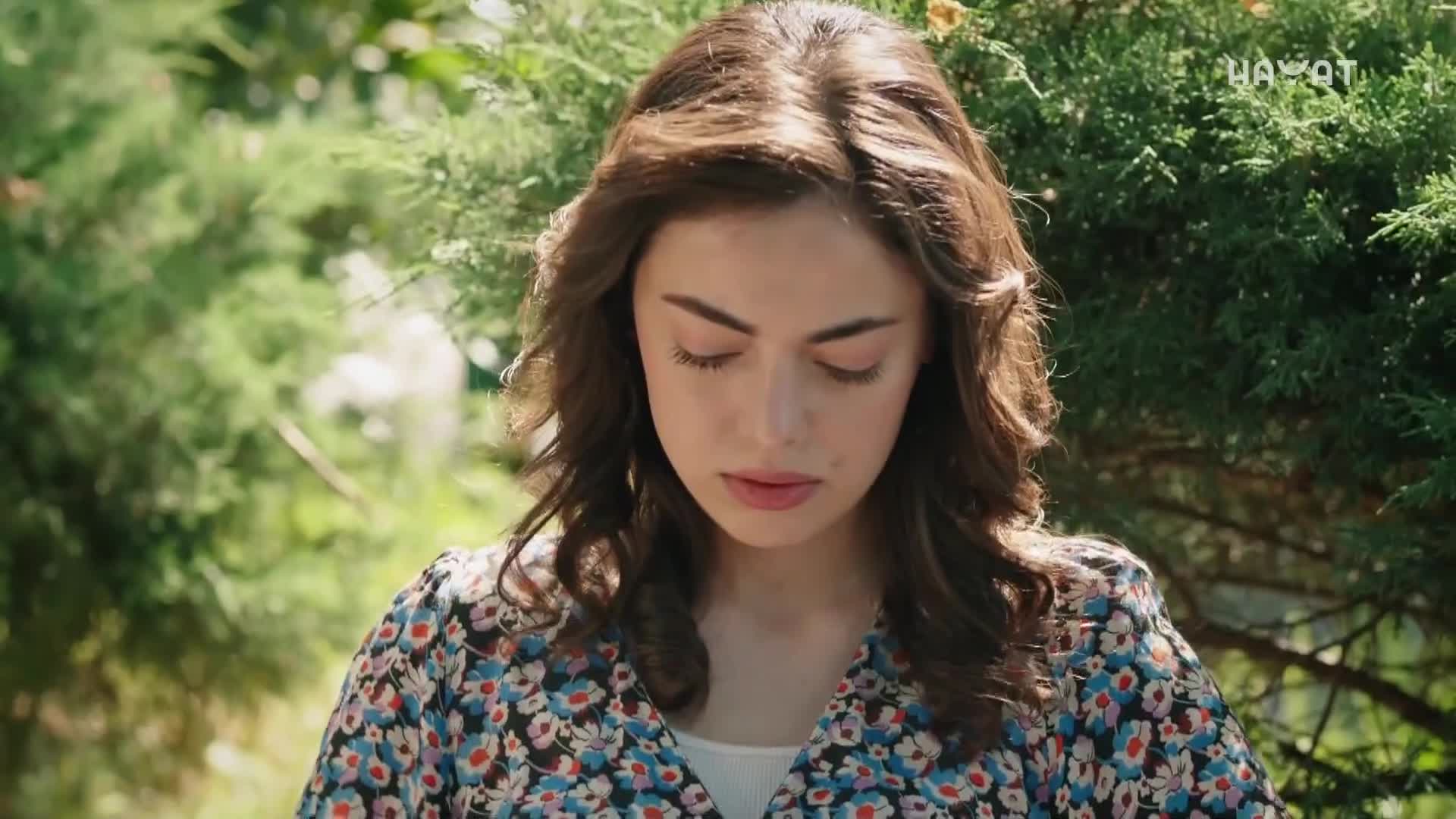 hayat