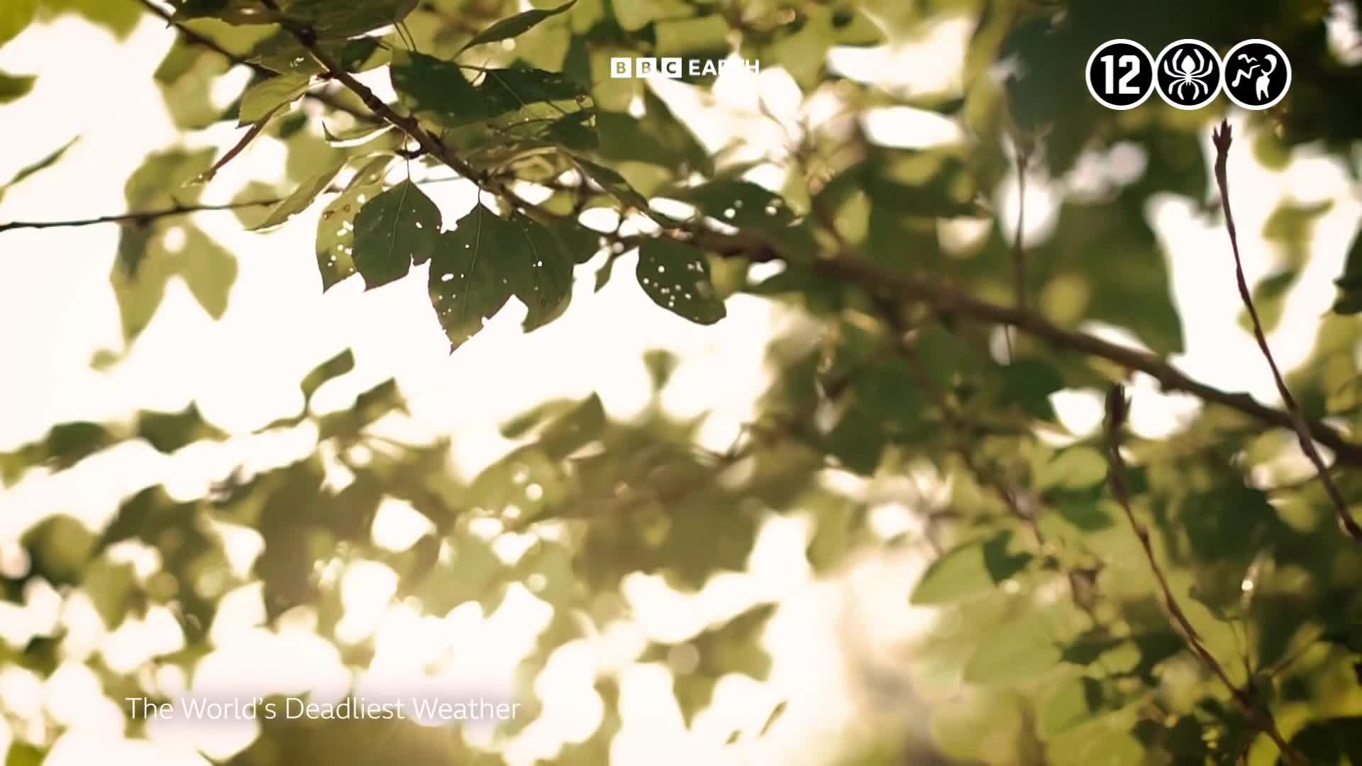 BBCEarth